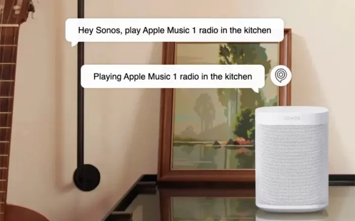 sonos voice control francais